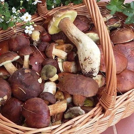 Agroturystyka Rebowo Klodawa  المظهر الخارجي الصورة
