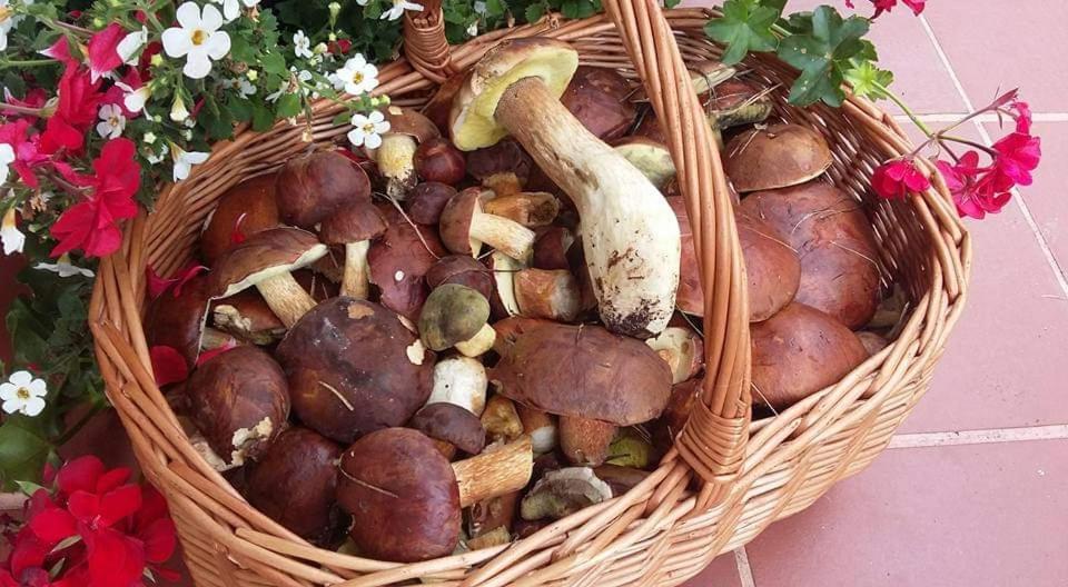 Agroturystyka Rebowo Klodawa  المظهر الخارجي الصورة